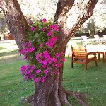 Bed & Breakfast Nuraghe Bianco