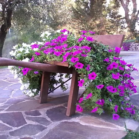 Nuraghe Bianco Bed & Breakfast 3*
