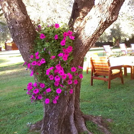 Bed & Breakfast Nuraghe Bianco