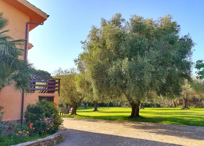 Nuraghe Bianco Santa Maria la Palma