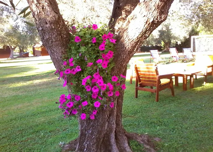 Bed and breakfast Nuraghe Bianco
